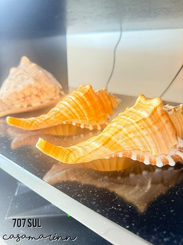 Sea view | Beach Village 707s