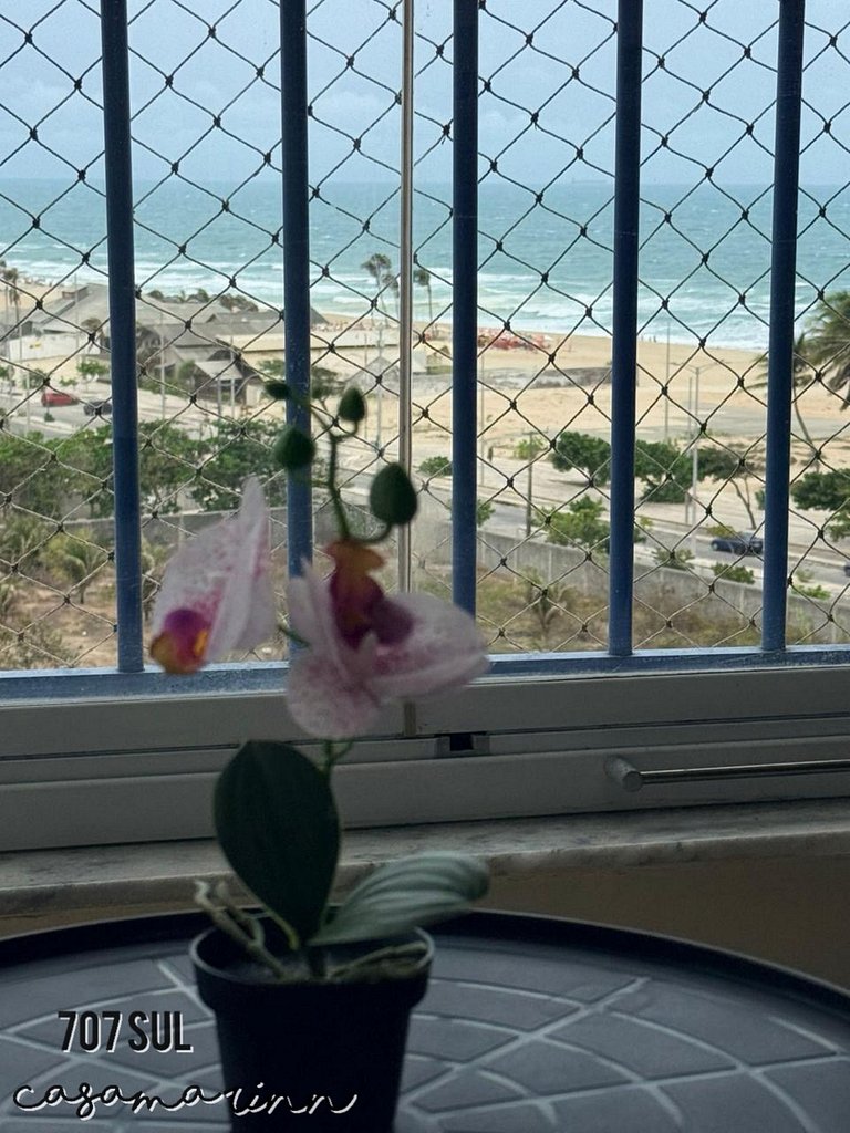 Sea view | Beach Village 707s